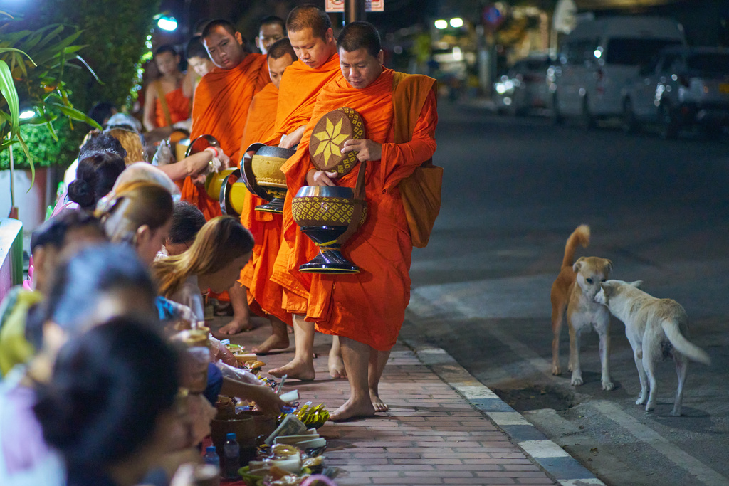 Buddhist monks walk in a line seeking alms from residents and tourists waiting along a street before dawn in Luang Prabang, Laos, Friday, Nov. 7, 2025. (AP Photo/Eugene Hoshiko)
