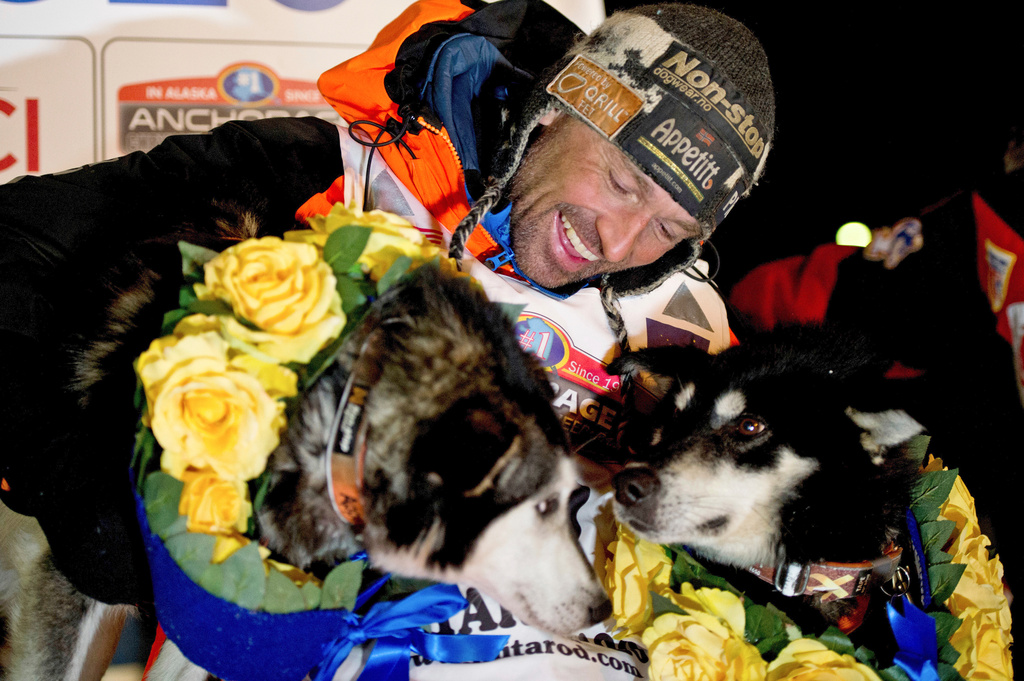 FILE - Thomas Waerner, of Norway, celebrates his win in the Iditarod Trail Sled Dog Race, March 18, 2020, in Nome, Alaska. (Marc Lester/Anchorage Daily News via AP, File)