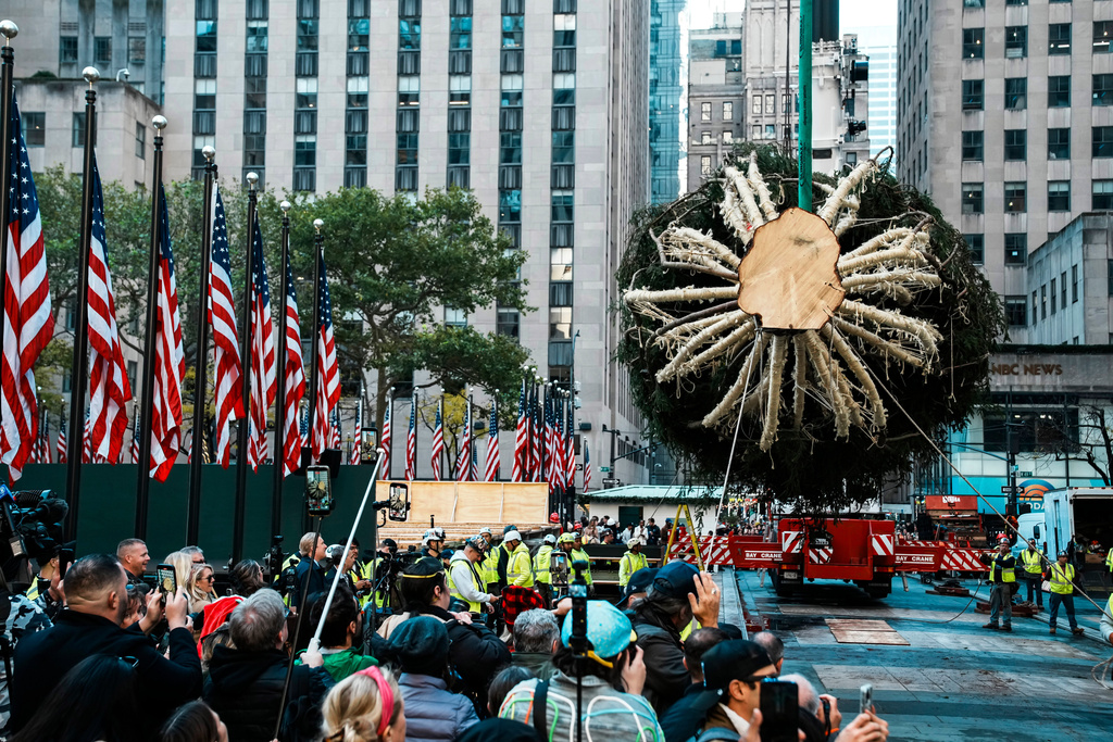Workers hold the Rockefeller Center Christmas tree with ropes at Rockefeller Plaza, Saturday, Nov. 8, 2025, in New York. (AP Photo/Eduardo Munoz Alvarez)