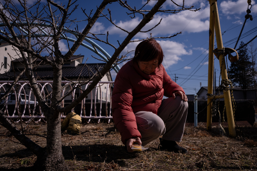 Tomoko Kobayashi measures radiation with a radiation monitor during an interview in Odaka, Friday, Feb. 13, 2026. (AP Photo/Louise Delmotte)