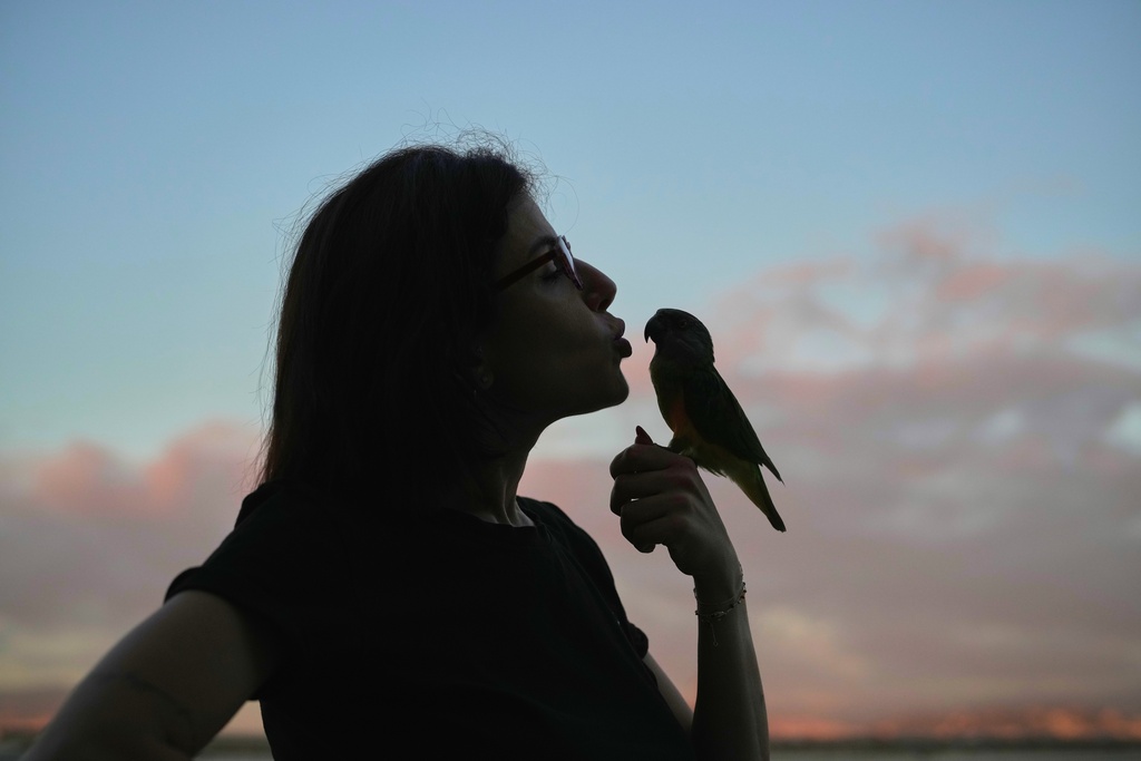 Loubna Hamdan holds her Senegal parrot named Mango at her rooftop loft where she leaves food out for pigeons in Chiyah, in the southern suburbs of Beirut, Lebanon, at sunset Tuesday, July 8, 2025. (AP Photo/Hassan Ammar)