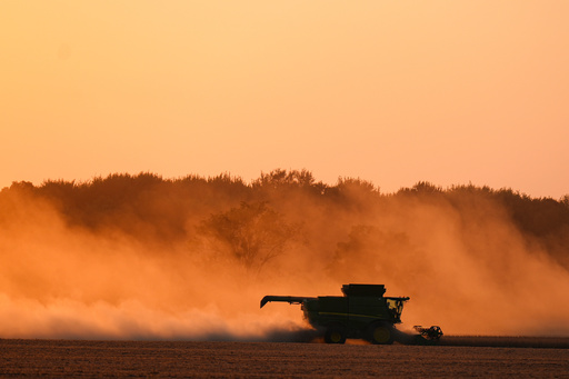 Soybeans are harvested on the Warpup Farm in Warren, Ind., Wednesday, Sept. 17, 2025. (AP Photo/Michael Conroy) Soybeans are harvested on the Warpup Farm in Warren, Ind., Wednesday, Sept. 17, 2025. (AP Photo/Michael Conroy)