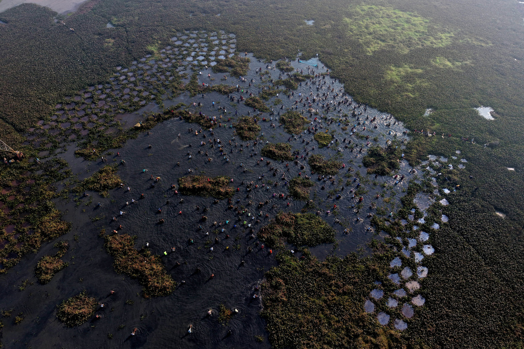 Villagers participate in a community fishing as part of Bhogali Bihu celebrations which mark the end of the harvest season at Jalikhora village east of Guwahati, India, Tuesday, Jan. 13, 2026. (AP Photo/Anupam Nath)