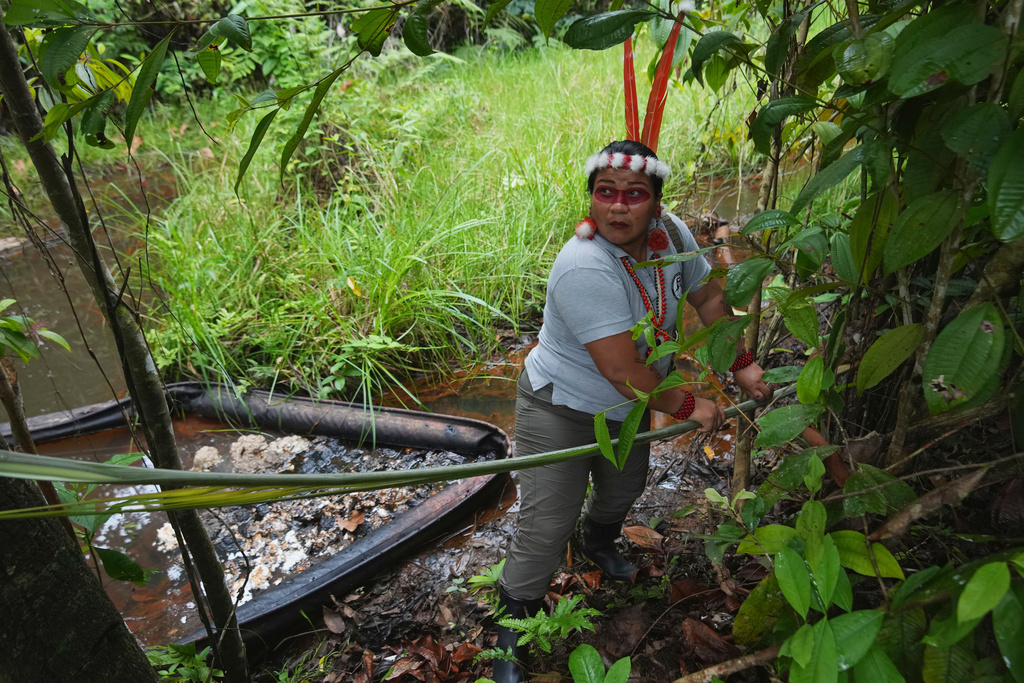 Waorani leader Dayuma Nango picks up a palm frond after wading into a darkened stream tainted by oil waste during a tour through Ecuador's Amazon in Sucumbios, Ecuador, Friday, March 6, 2026. (AP Photo/Dolores Ochoa)