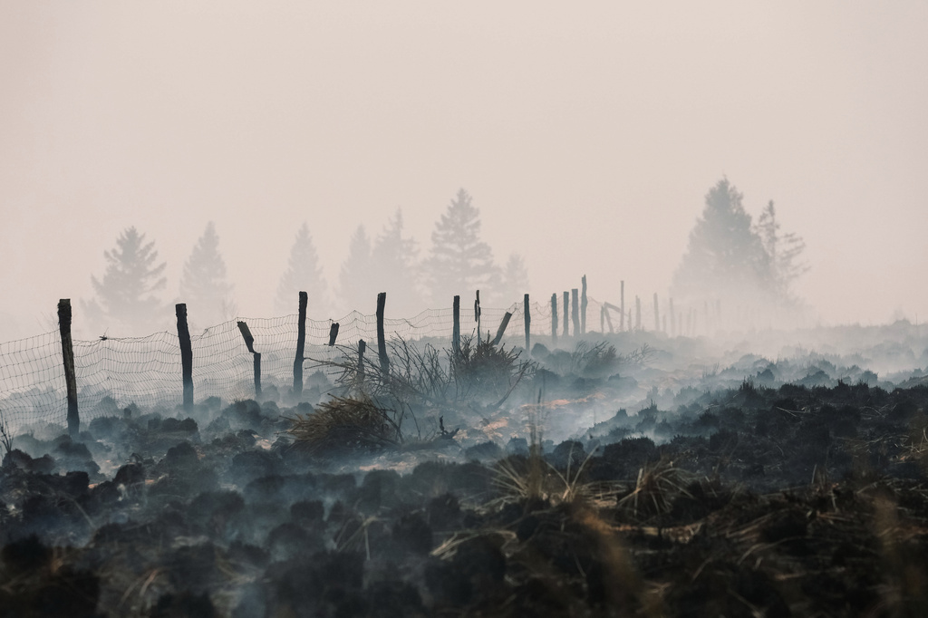 FILE - Smoke rises from a field scorched by a wildfire near Waimes, Belgium, Aug. 17, 2026. (Photo AP/Marius Burgelman, File)