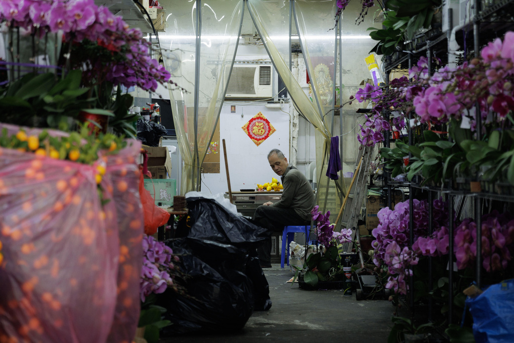 A florist sits inside his shop in Hong Kong, Feb. 11, 2026. (AP Photo/May James)