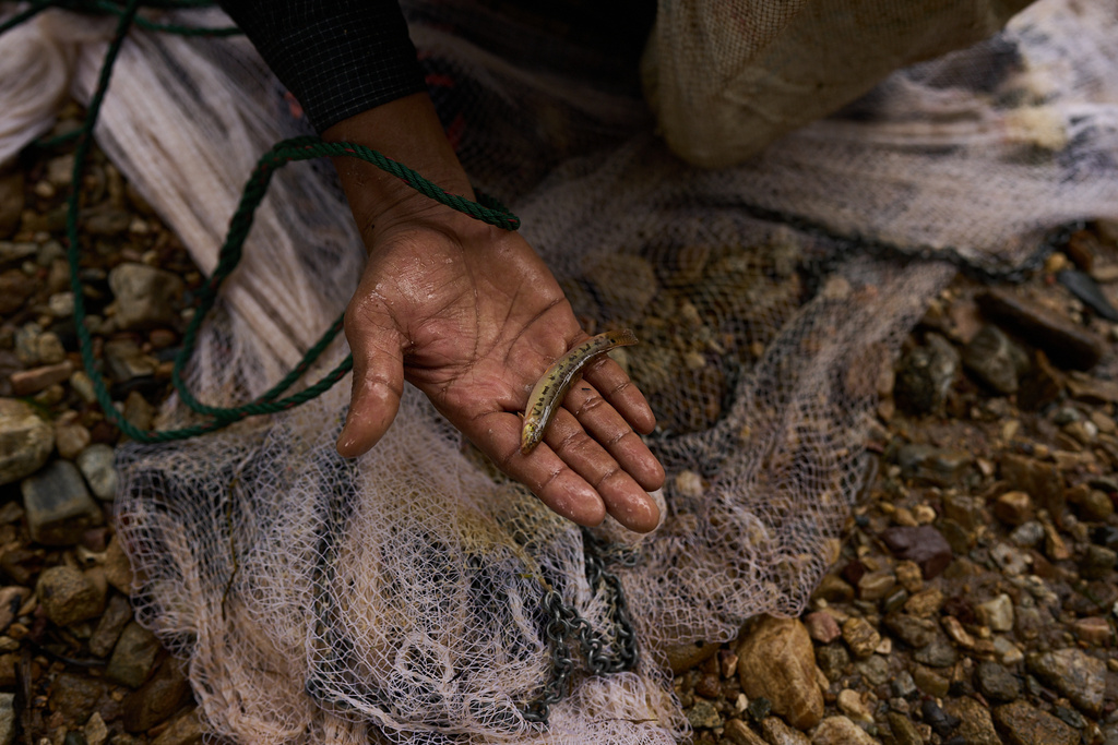 Mahmud Karmar holds a small fish he caught in the river near the Mae La refugee camp in the Tak province of Thailand, Thursday, Aug. 28, 2025. (AP Photo/Bram Janssen)
