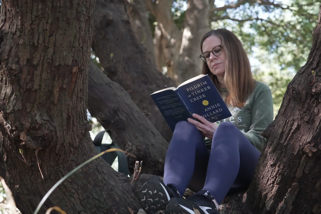CORRECTS SPELLING TO JC Claire Jefferies reads a book in the crotch of an oak tree during a "forest bathing" session at the JC Raulston Arboretum in Raleigh, N.C., on Sunday, March 22, 2026. (AP Photo/Allen G. Breed)
