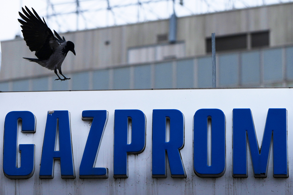A raven flies over the Gazprom company logo at a petrol station in Belgrade, Serbia, Sunday, Nov. 23, 2025. (AP Photo/Darko Vojinovic)