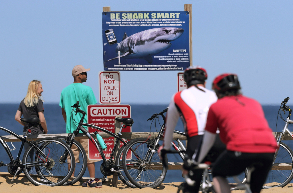 FILE - A sign warns beachgoers about sharks at Lecount Hollow Beach May 22, 2019 in Wellfleet, Mass. (AP Photo/Charles Krupa, File)