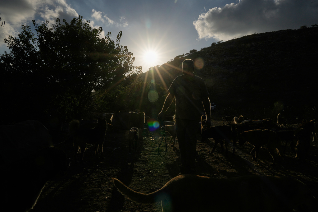 Hussein Hamza, feeds pets left behind by their owners after they fled following the outbreak of the latest Israel-Hezbollah war, at his animal shelter in the village of Kfaroue, near Nabatiyeh, southern Lebanon, Thursday, July 2, 2026. (AP Photo/Bilal Hussein)