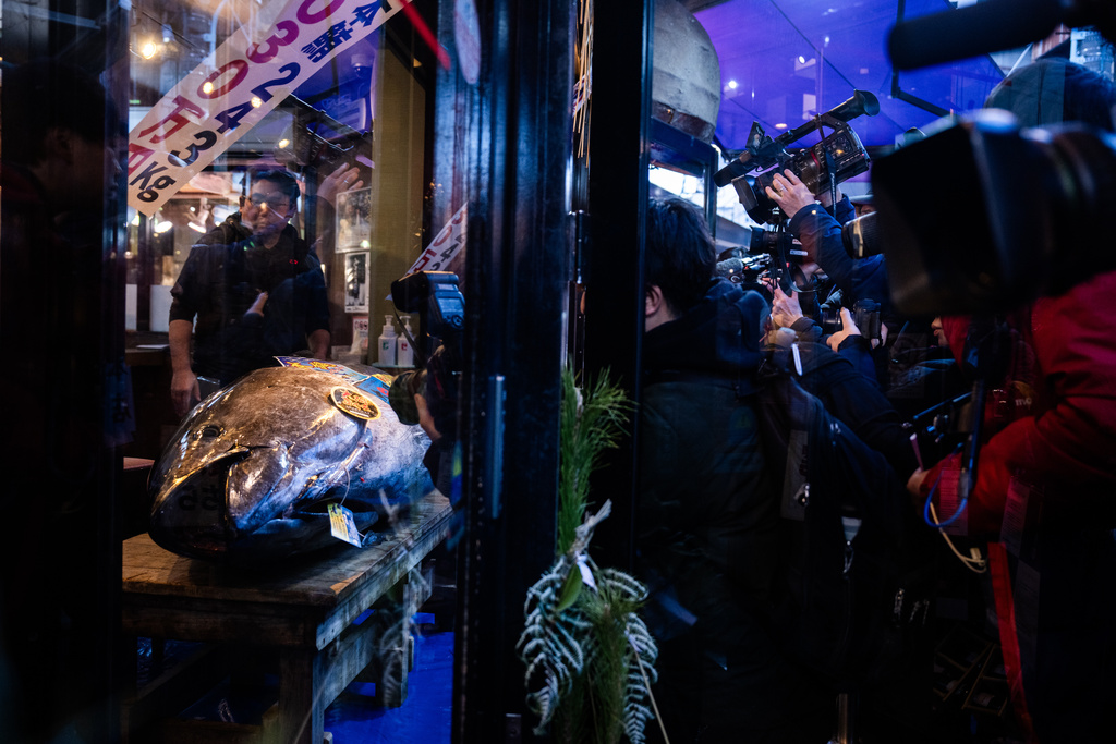 Members of the press take photographs of a bluefin tuna that won the highest bid at the annual New Year auction displayed at Sushi Zanmai restaurant in Tokyo, Monday, Jan. 5, 2026. (AP Photo/Louise Delmotte)