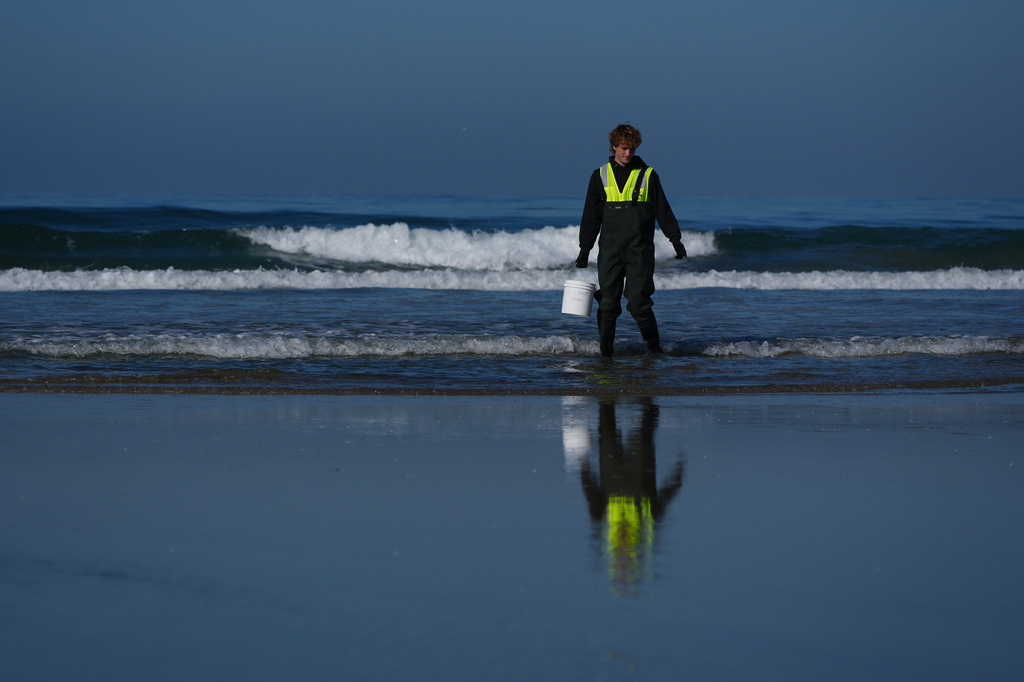 Trent Fry, part of a research team from the University of California, San Diego, takes a sample of seawater Wednesday, March 11, 2026, in Imperial Beach, Calif. (AP Photo/Gregory Bull)