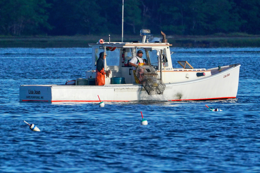 FILE - A lobster fisherman hauls a trap, Sept. 8, 2022, off of Kennebunkport, Maine. (AP Photo/Robert F. Bukaty, file)