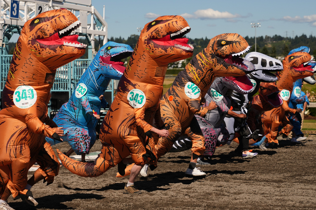 Racers in the men's over 55 heat run out of the starting gates during the T-Rex World Championship Races at Emerald Downs, Sunday, July 12, 2026, in Auburn, Wash. (AP Photo/Lindsey Wasson)