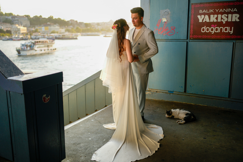 A cat sleeps next newlyweds during their photo session at Galata bridge in Istanbul, Turkey, Tuesday, July 21, 2026. (AP Photo/Emrah Gurel)