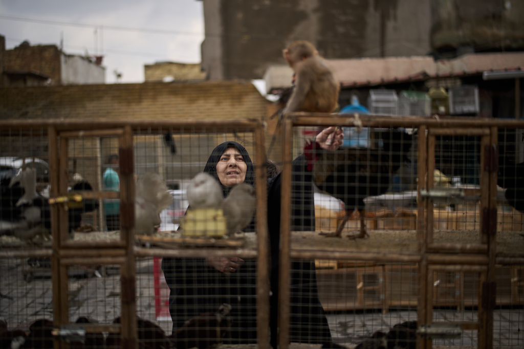 A woman plays with a monkey as she walks past cages with birds for sale in a street in downtown Baghdad, Iraq, Wednesday, March 25, 2026. (AP Photo/Leo Correa)