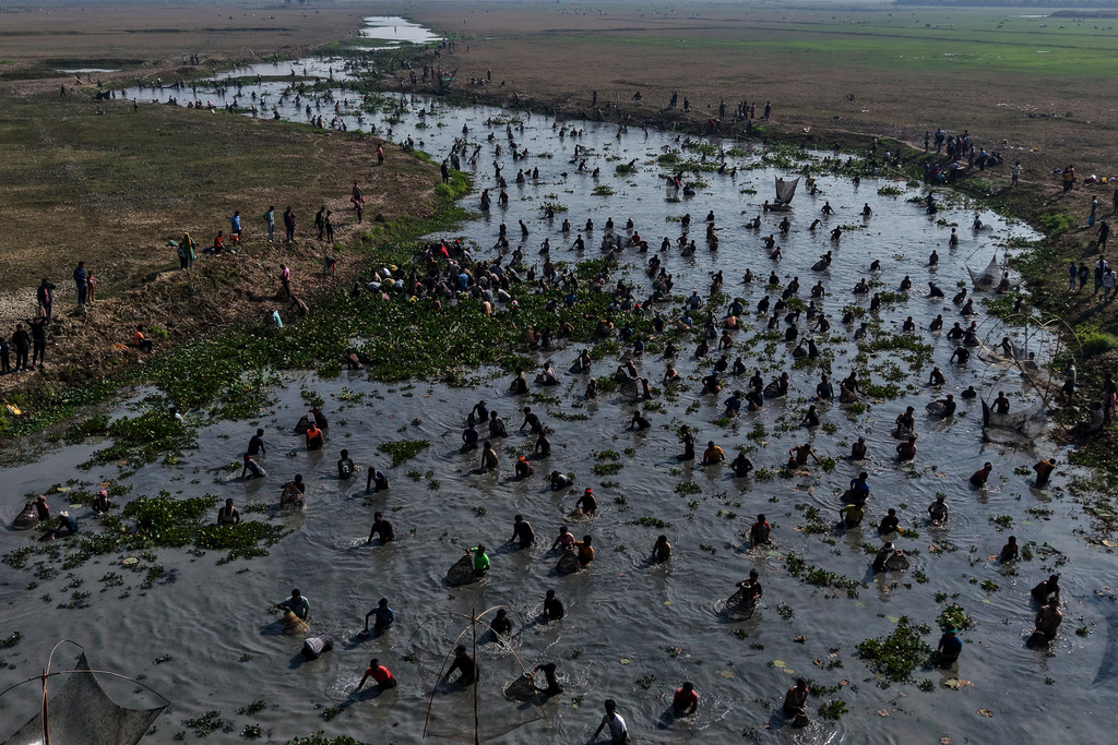 Villagers participate in a community fishing as part of Bhogali Bihu celebrations which mark the end of the harvest season at Jalikhora village east of Guwahati, India, Tuesday, Jan. 13, 2026. (AP Photo/Anupam Nath)