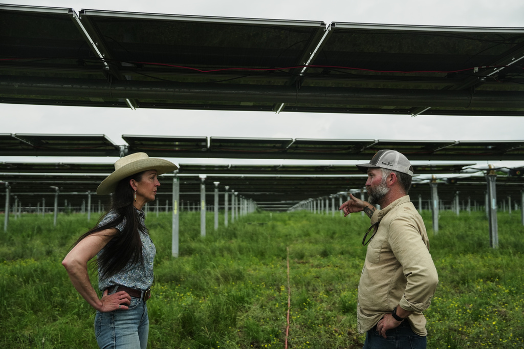 Anna Clare Monlezun, left, a rangeland scientist, chats with Loran Shallenberger, right, vice president of regenerative energy and agrivoltaics at Silicon Ranch, Tuesday, April 28, 2026, in Christiana, Tenn. (AP Photo/Joshua A. Bickel)