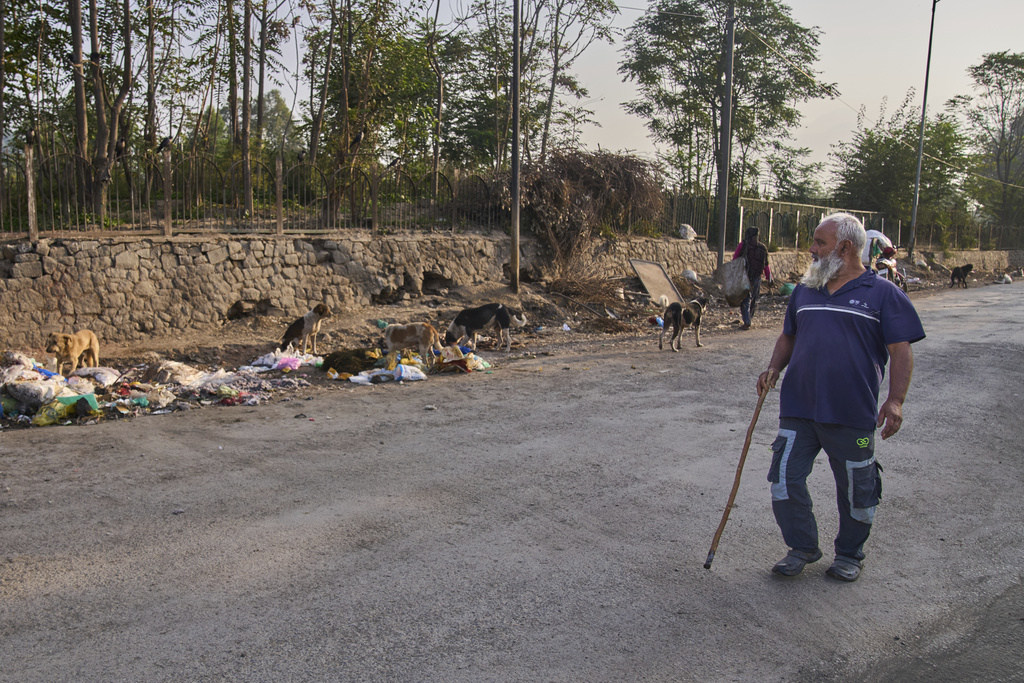 Feroz Ahmed carries a stick as a safety measure from stray dogs as he walks past them early in the morning in Srinagar, Indian controlled Kashmir, Friday, Sept. 19, 2025. (AP Photo/Dar Yasin)