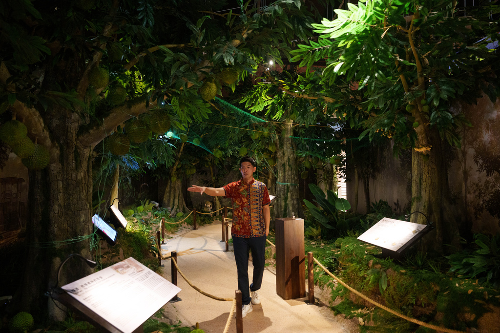 Founder Edison Ang explaining history of Durian at KLDEX (Kuala Lumpur Durian Experience Centre) in Kuala Lumpur, Malaysia, Friday, June 26, 2026. (AP Photo/Vincent Thian)