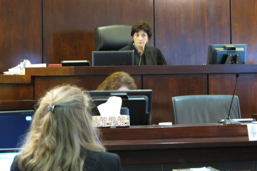 FILE - Circuit Judge Diane Goodstein presides over a trial in a lawsuit between the Diocese of South Carolina and the national Episcopal church on July 8, 2014, in St. George, S.C. (AP Photo/Jeffrey Collins, File) FILE - Circuit Judge Diane Goodstein presides over a trial in a lawsuit between the Diocese of South Carolina and the national Episcopal church on July 8, 2014, in St. George, S.C. (AP Photo/Jeffrey Collins, File)