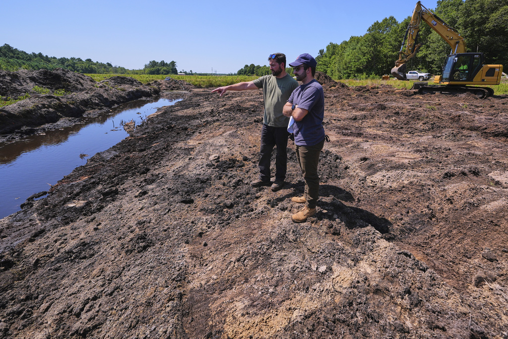 Cranberry grower Jarrod Rhodes points out to engineer Robert Kennedy, right, the path of water flow at a cranberry bog being restored to a natural habitat at the South Meadow Bogs, Thursday, Aug. 7, 2025, in Carver, Mass. (AP Photo/Charles Krupa)