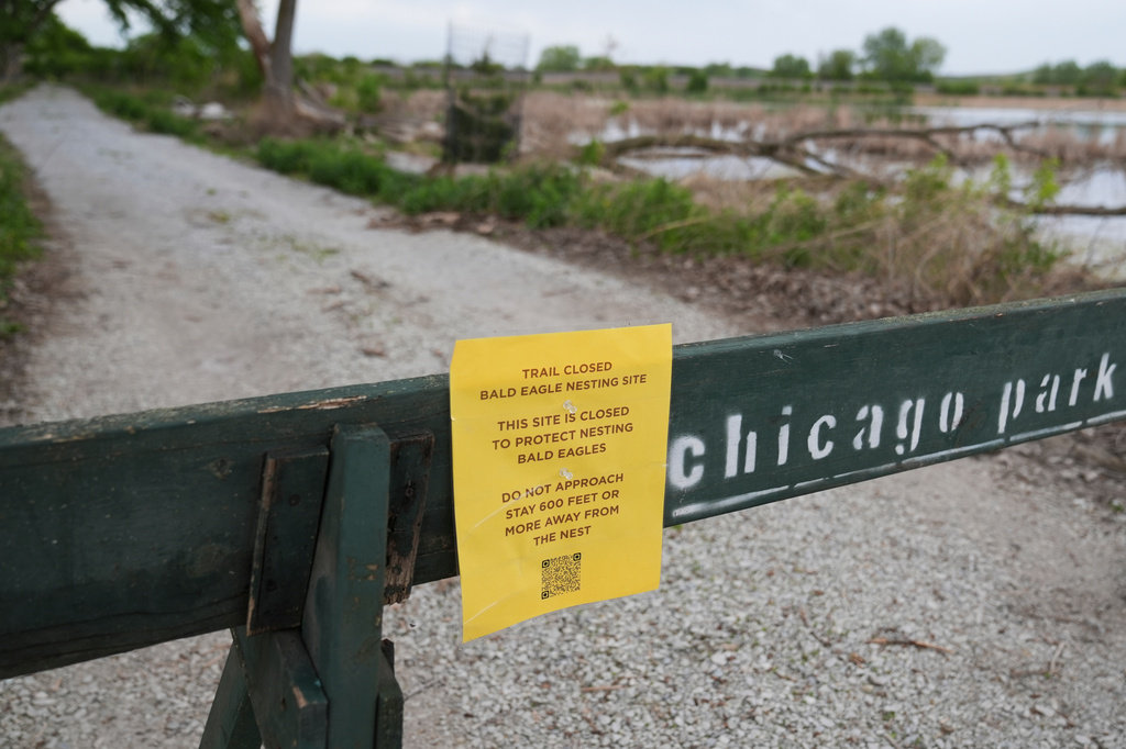 A trail closed sign is posted near the site where a pair of bald eagles are raising two eaglets on the south side of Chicago, Tuesday, May 12, 2026. (AP Photo/Erin Hooley)