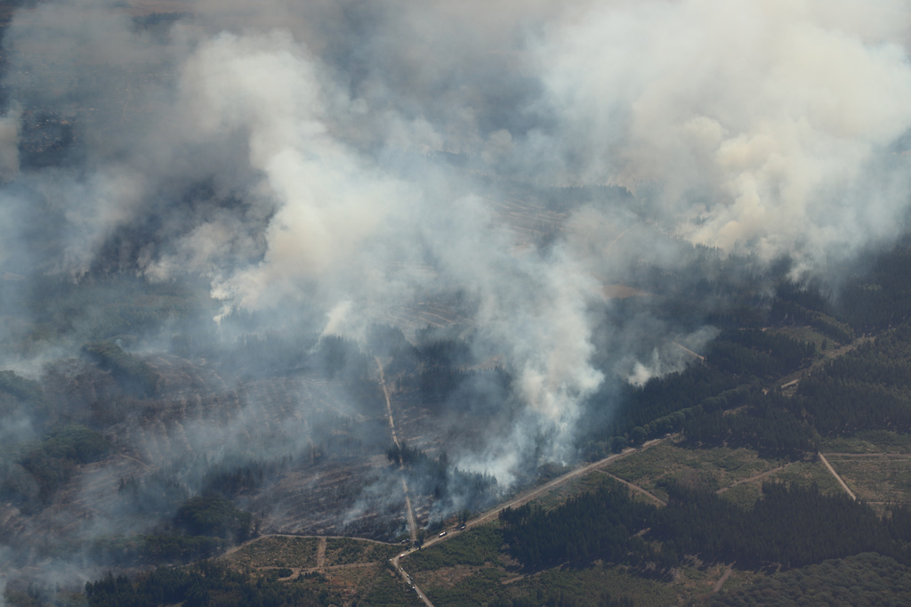 Smoke from a forest fire rises above the Hürtgenwald, in Düren, Germany, Friday, Aug. 14, 2026. (Sascha Thelen/dpa via AP)