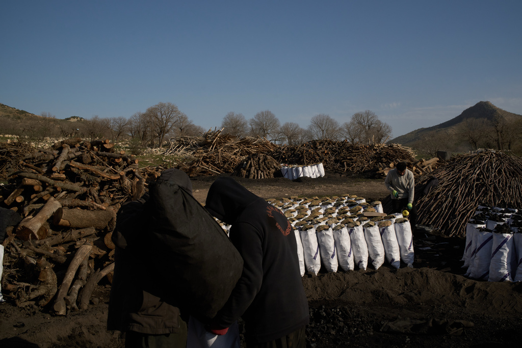 Workers prepare sacks of charcoal for transport at a traditional production site in Sarkand, Iraq, Thursday, March 12, 2026. (AP Photo/Leo Correa)