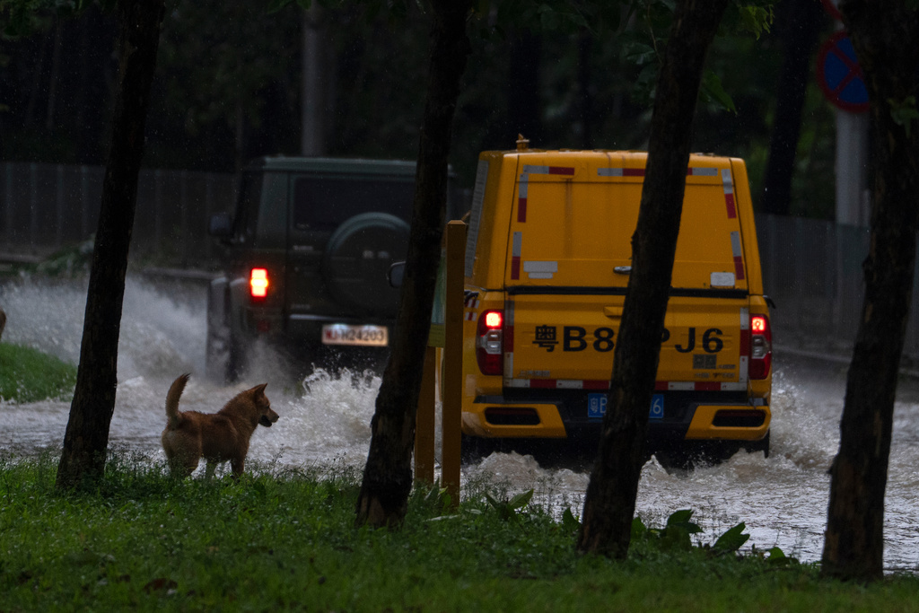A dog watches as vehicles drive through flood waters in the aftermath of Super Typhoon Ragasa in Shenzhen in southern China's Guangdong province on Wednesday, Sept. 24, 2025. (AP Photo/Ng Han Guan)