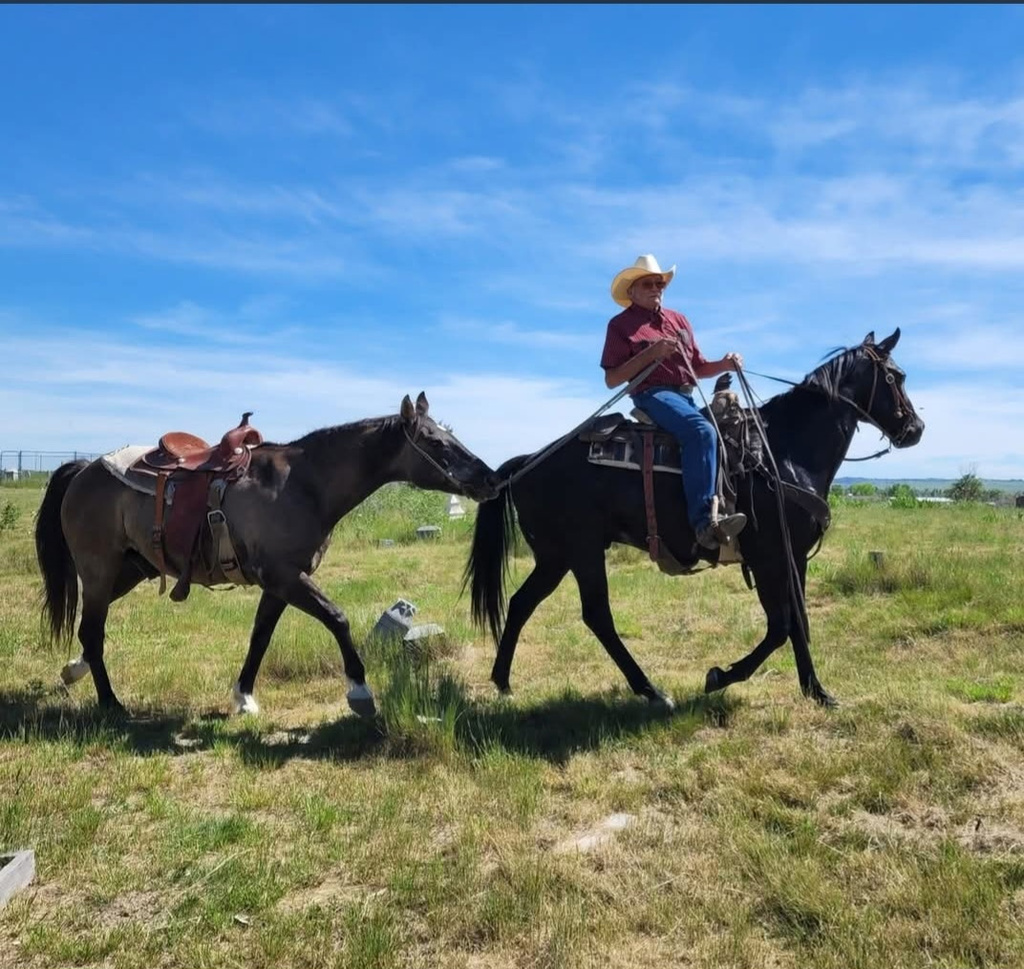Patrick Carlow, Sr. leading a horse on Pine Ridge Reservation, S.D. on June 11, 2022. (Rhonda Akers via AP)