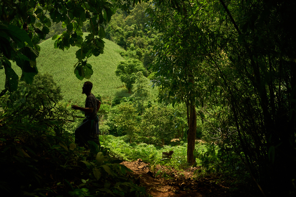 Mahmud Karmar forages for food in a forest near the Mae La refugee camp in the Tak province of Thailand, Saturday, Aug. 30, 2025. (AP Photo/Bram Janssen)