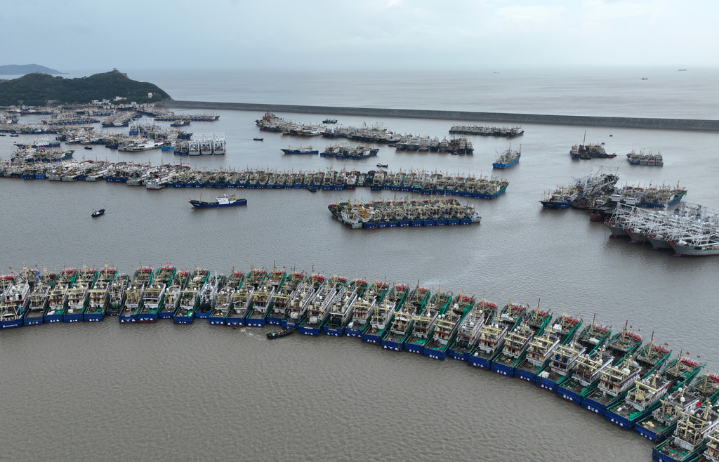 In this aerial photo released by Xinhua News Agency, fishing boats take shelter ahead of Typhoon Dolphin at a port in Wenling, east China's Zhejiang Province, Aug. 5, 2026. (Zhou Xuejun/Xinhua via AP)