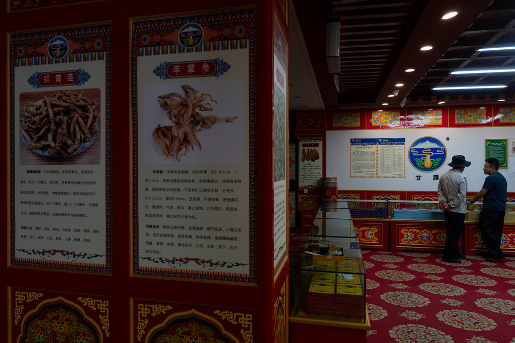 Posters detail the herbs used in traditional Tibetan medicine produced by the Xizang Gansu Tibetan Medicine Co. Ltd in Lhasa, in western China's Tibet Autonomous Region on Wednesday, July 22, 2026 as seen during a government organized visit for foreign journalists. (AP Photo/Ng Han Guan)