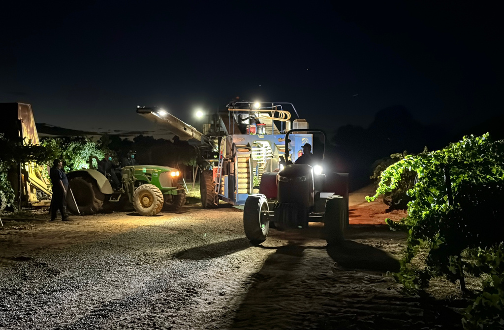 Workers operate farm machines at night to harvest wine grapes at Berryhill Family Vineyards in Clements, Calif., Sept. 10, 2026. (AP Photo/Terry Chea)