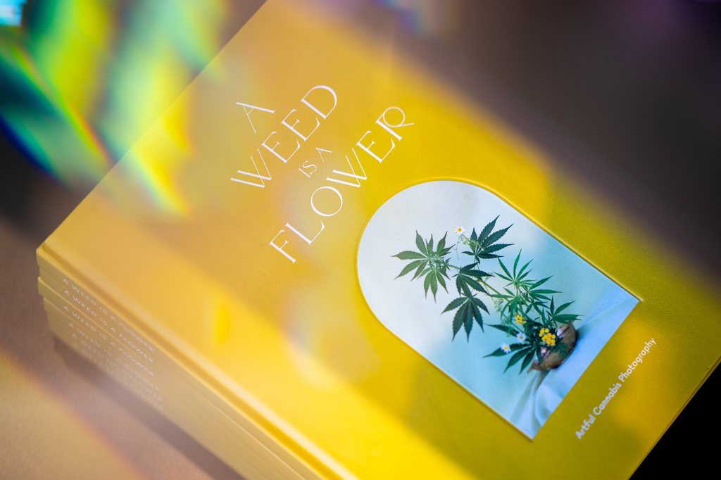 A book of marijuana is on display at Housing Works Cannabis Co, Thursday, April 23, 2026, in New York. (AP Photo/Angelina Katsanis)