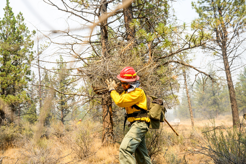 A firefighter clears vegetation as the Akawa Butte fire approaches on Friday, July 24, 2026, near Sisters, Ore. (AP Photo/Noah Berger)