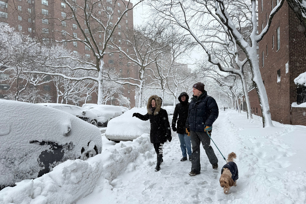 People walk with a dog alongside snow laden parked cars in a snowstorm, Monday, Feb. 23, 2026, in New York. (AP Photo/Pamela Hassell)