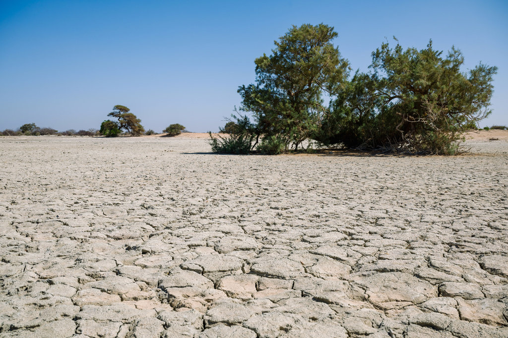 Amid a drought, a lake that should be full now, remains dry Thursday, Jan. 8, 2026, outside Afcadde, Ethiopia. (AP Photo/Julianne Gauron)