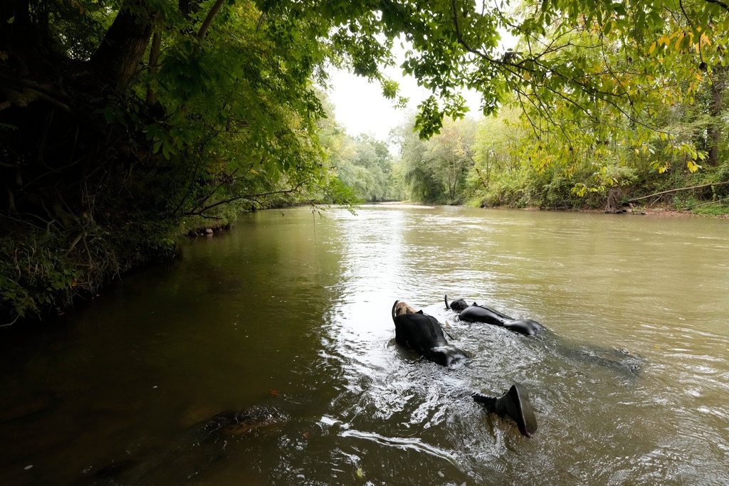 Michael Perkins, an aquatic wildlife biologist, and Taylor Crews, an aquatic wildlife technician, do a wildlife survey Tuesday, Sept. 16, 2025, near Marion, N.C. (AP Photo/Chris Carlson)