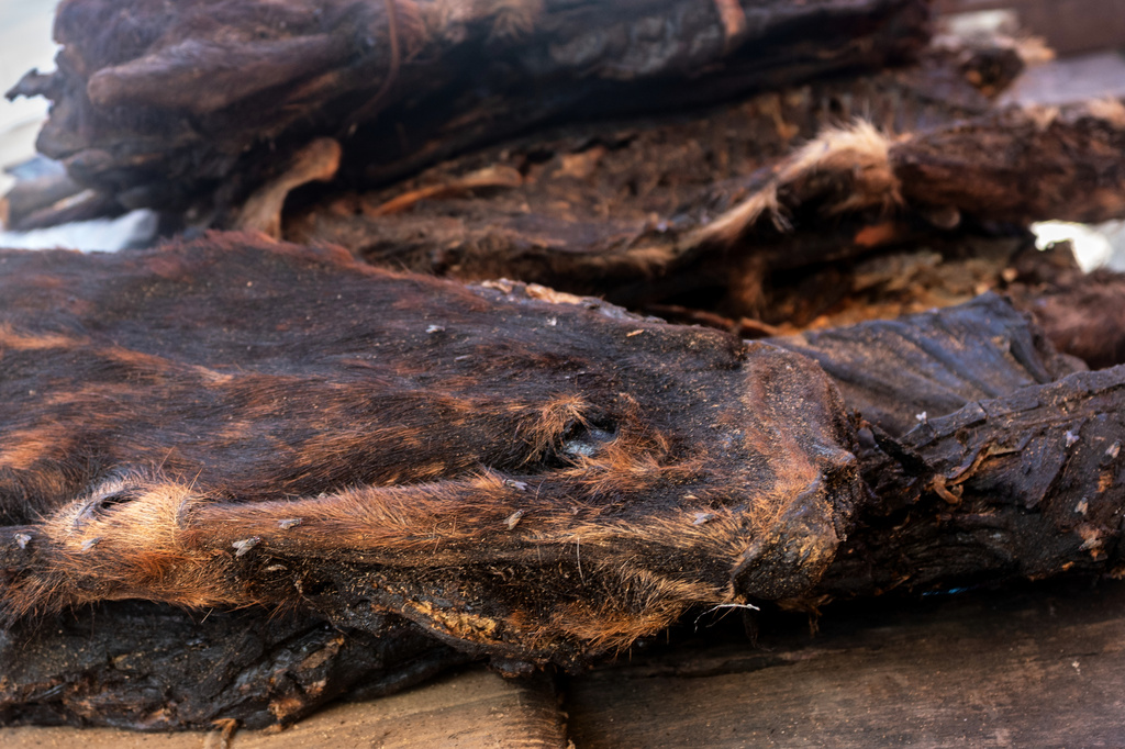 Smoked antelope meat is on sale at the Masina market in Kinshasa, Congo, Thursday, April 9, 2026. (AP Photo/Samy Ntumba Shambuyi)
