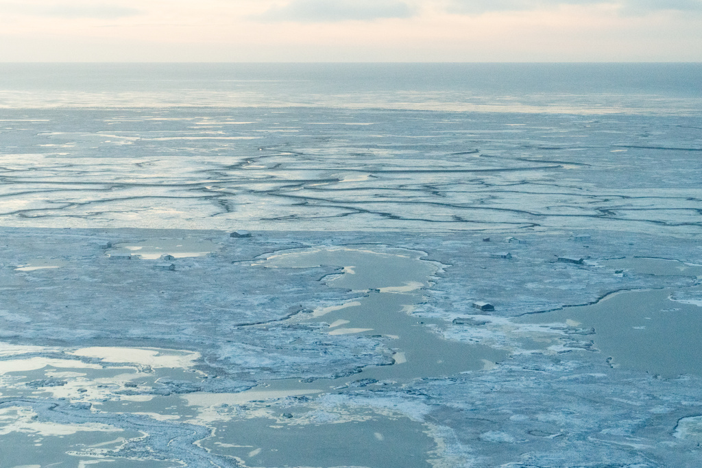Homes and buildings torn off their foundations, which floated miles away from the village of Kwigillingok, Alaska when the region was hit by Typhoon Halong earlier in the month, sit near the Bering Sea, Monday, Oct. 27, 2025. (AP Photo/Lindsey Wasson)