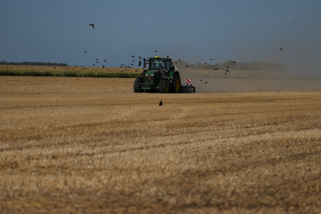 Farmer Maarten Janse drives his tractor on a drought stricken wheat field in Wolphaartsdijk, Netherlands, Tuesday, Aug. 11, 2026. (AP Photo/Virginia Mayo)