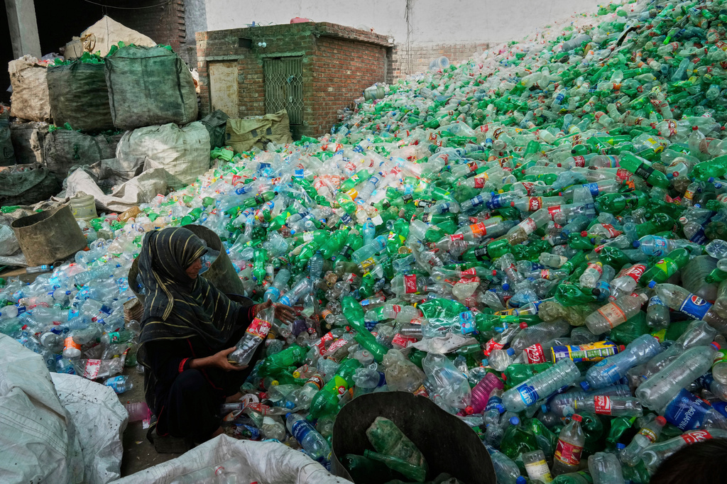 FILE - A worker sorts through empty bottles at a plastic recycling factory in Lahore, Pakistan, Aug. 7, 2025. (AP Photo/K.M. Chaudary, File)