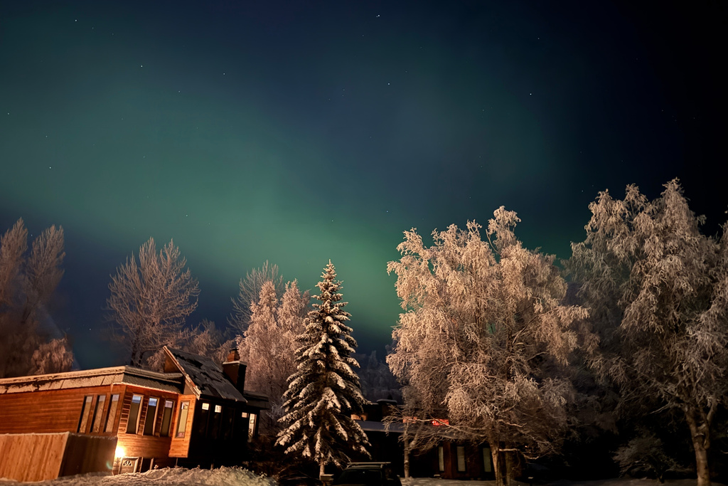 FILE - The northern lights glow behind trees covered in hoarfrost over Anchorage, Alaska, Nov. 25, 2025. (AP Photo/Mark Thiessen, File)