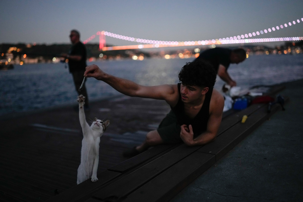 A fisherman feeds a cat at the Emirgan sea promenade next to the Bosporus in Istanbul, Turkey, Friday, June 26, 2026. (AP Photo/Emrah Gurel)