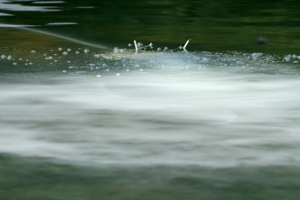 Bubbles emanate from a hose in the Lincoln Memorial Reflecting Pool, Monday, June 22, 2026, in Washington. (AP Photo/Mark Schiefelbein)