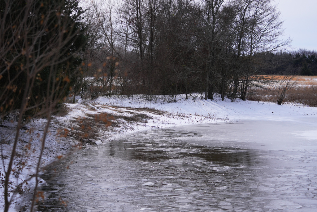 A pond where neighbors say three young boys died after falling into the water is seen Tuesday, Jan. 27, 2026, in Bonham, Texas. (AP Photo/Julio Cortez)