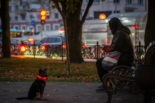 A local resident sits on a bench with her pet dog during a blackout following Russia's air attacks on energy facilities in Chernihiv, Ukraine, late Tuesday, Oct. 7, 2025. (AP Photo/Dan Bashakov) A local resident sits on a bench with her pet dog during a blackout following Russia's air attacks on energy facilities in Chernihiv, Ukraine, late Tuesday, Oct. 7, 2025. (AP Photo/Dan Bashakov)